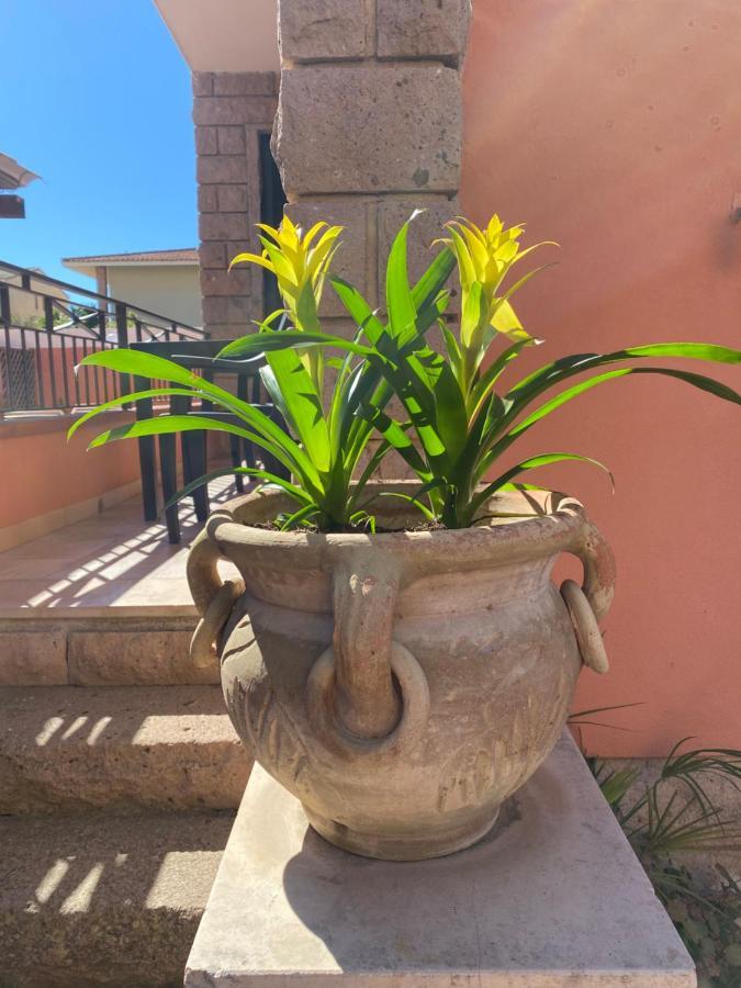Villa Marogna Alghero Eksteriør bilde